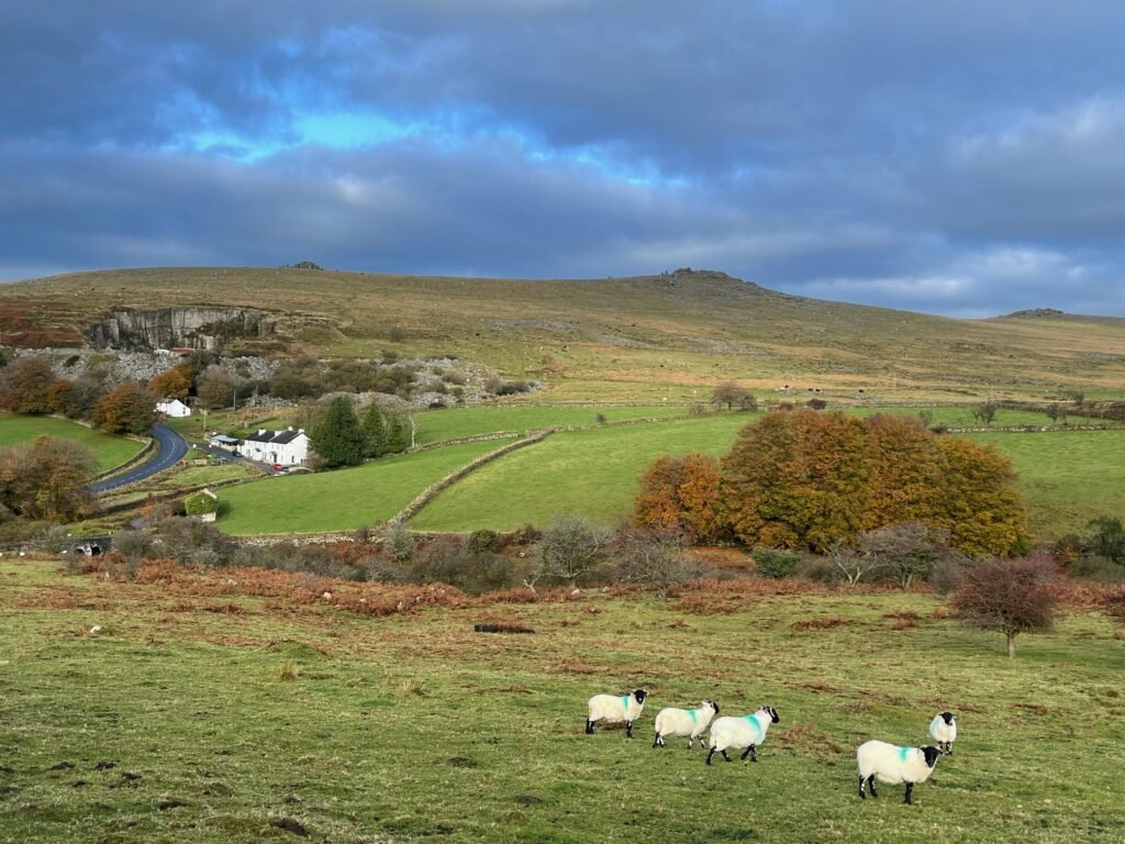 Walkham Valley walk landscape photo
